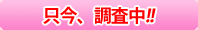 01.只今、調査中